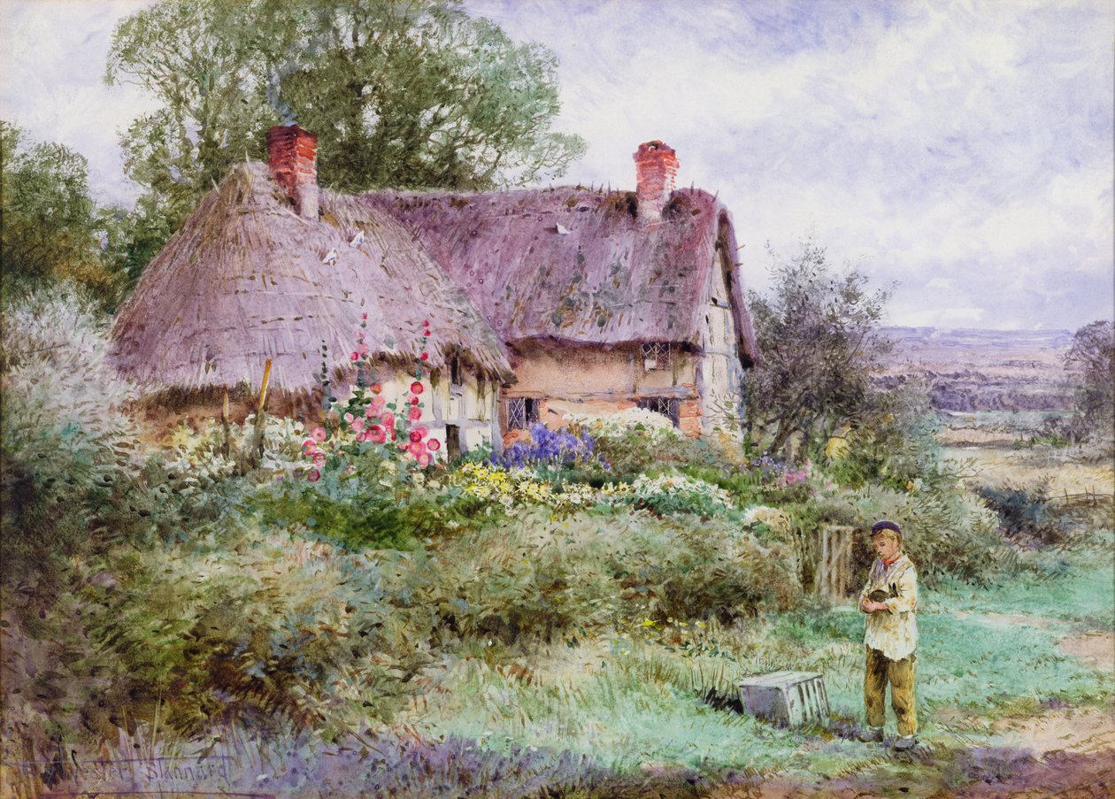 Det nya husdjuret (akvarell) av Henry John Sylvester Stannard