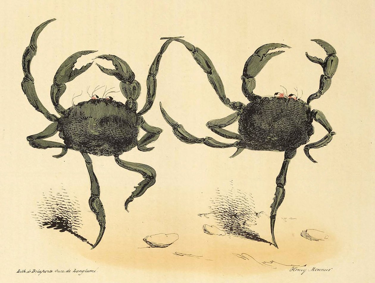 Fantastisk dans från La Caricature, pub. 1831 litografi, 1831. av Henry Monnier