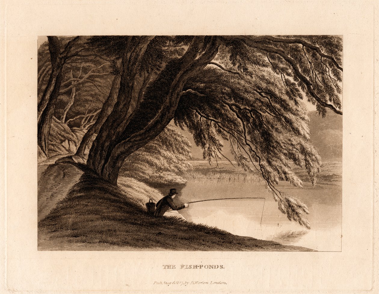 Fiskdammarna av Henry Morton