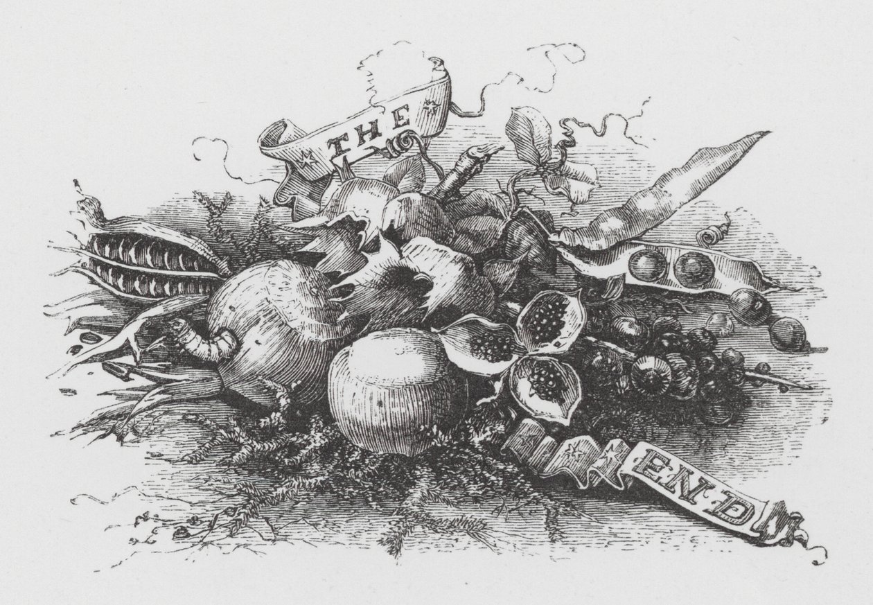 The End (gravyr) av Henry Noel Humphreys