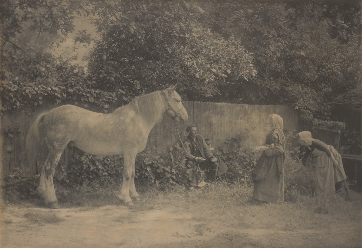 [Old Dapple] av Henry Peach Robinson