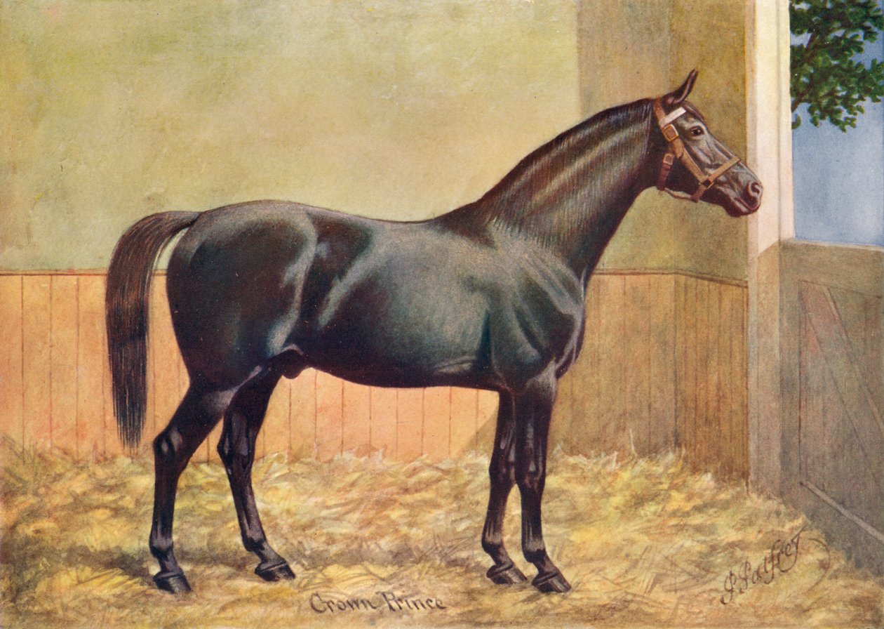 Yorkshire Coach Horse hingst Crown Prince, 1902 c1910 av Henry Powell Palfrey