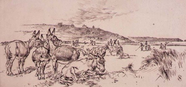 Åsnor på golfbanan, illustration från "Graphic" magazine, pub. c.1870 (lito) av Henry Sandercock