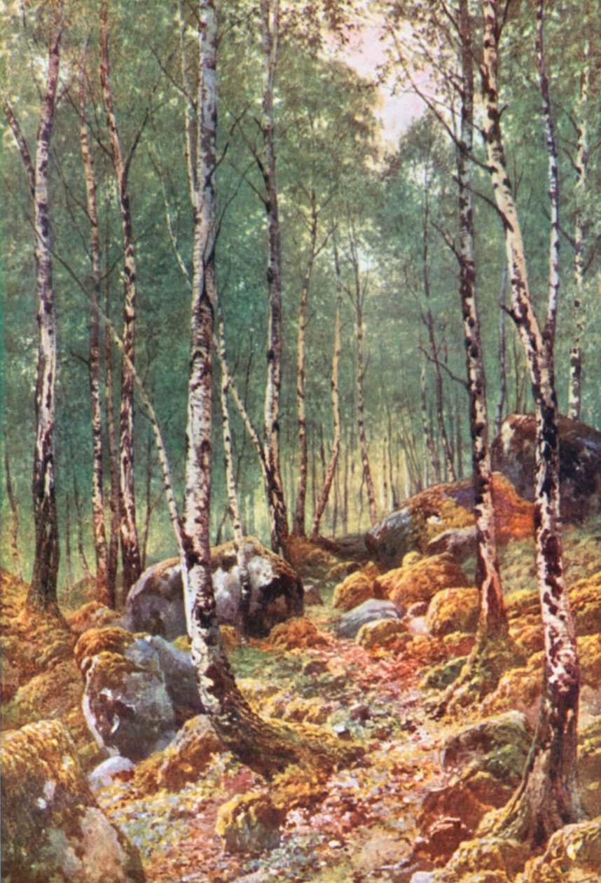  av Henry Sutton Palmer
