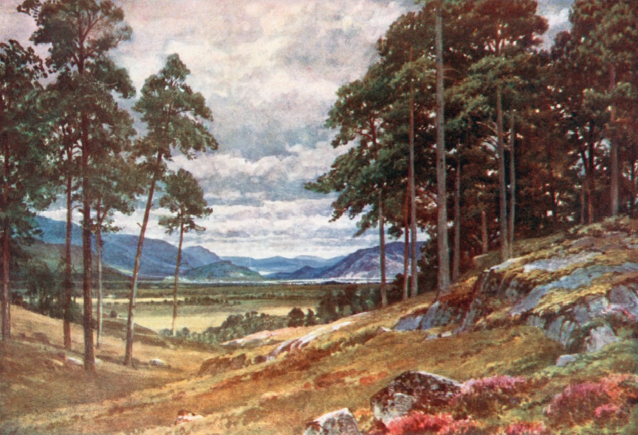  av Henry Sutton Palmer