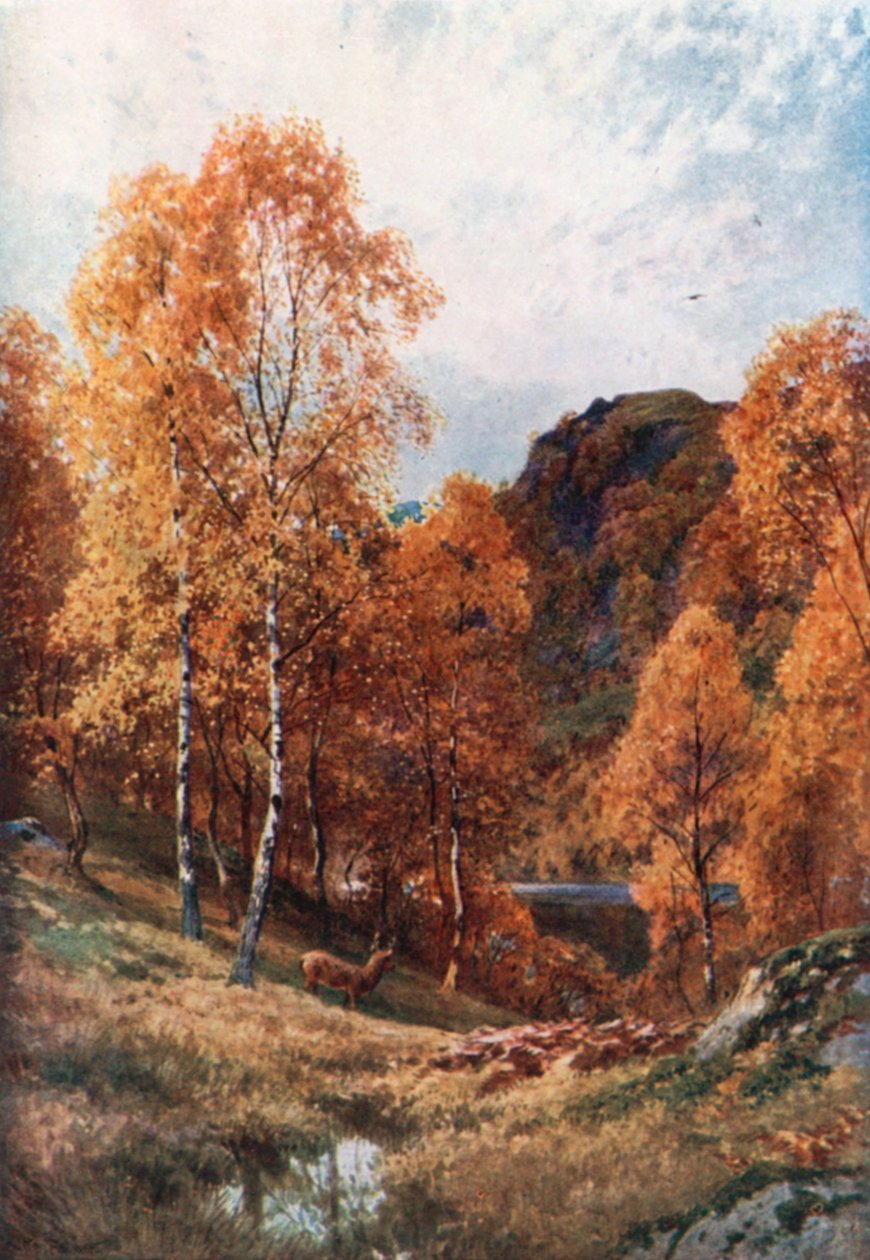 Gyllene höst, Trossachs, Perthshire (färglitografi) av Henry Sutton Palmer