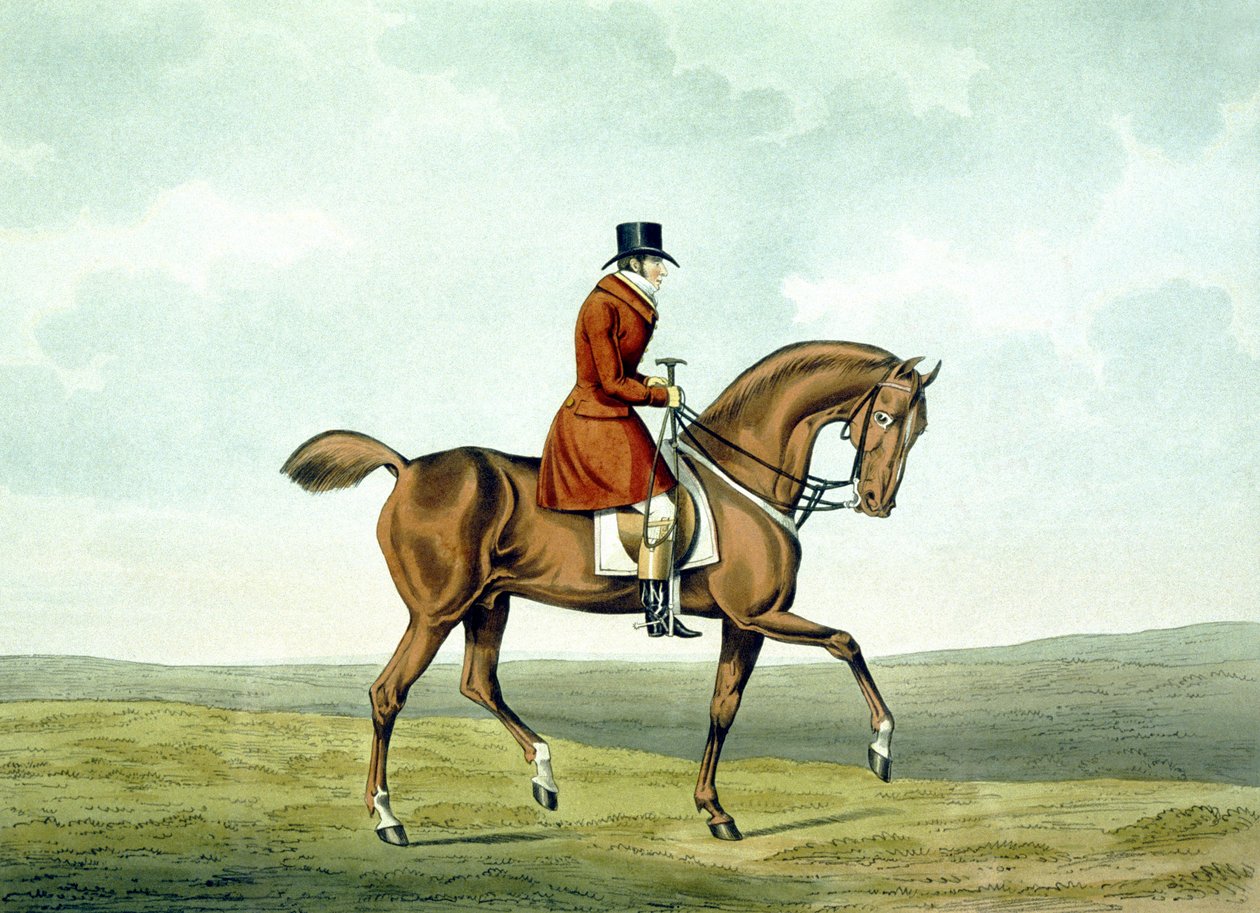 En Meltonian, As He Was, från 