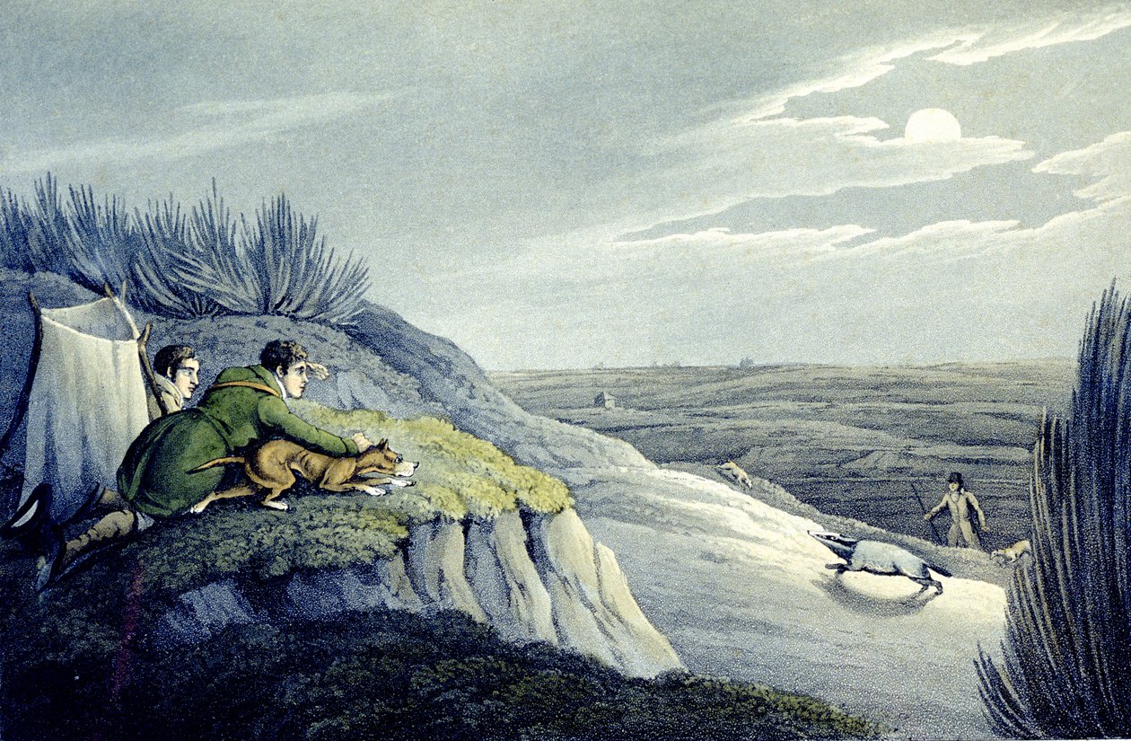 Badger Catching från National Sports of Great Britain, graverad av J.H. Clarke av Henry Thomas (after) Alken