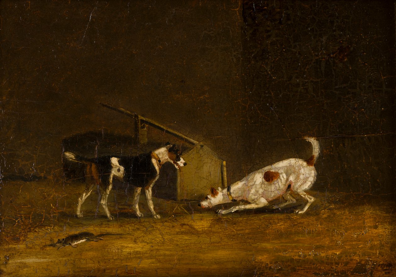 Two Terriers Ratting, c.1805-51 (olja på panel) av Henry Thomas (follower of) Alken