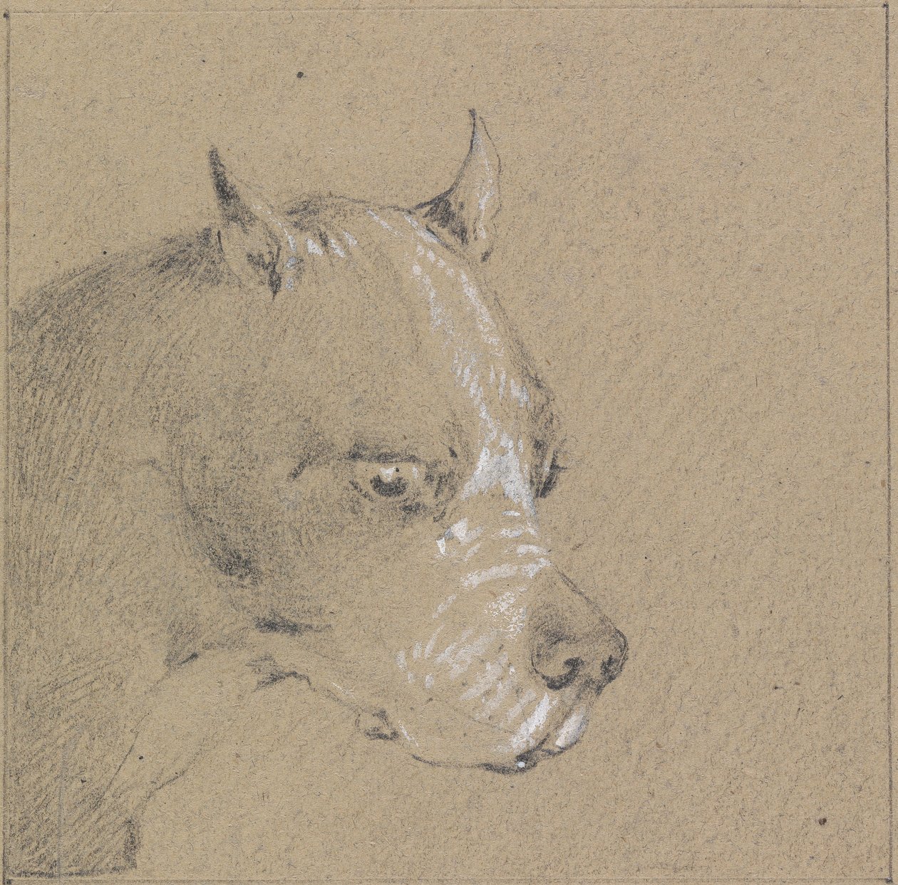 Huvud och skuldror av en boxerhund, högerprofil av Henry Thomas Alken