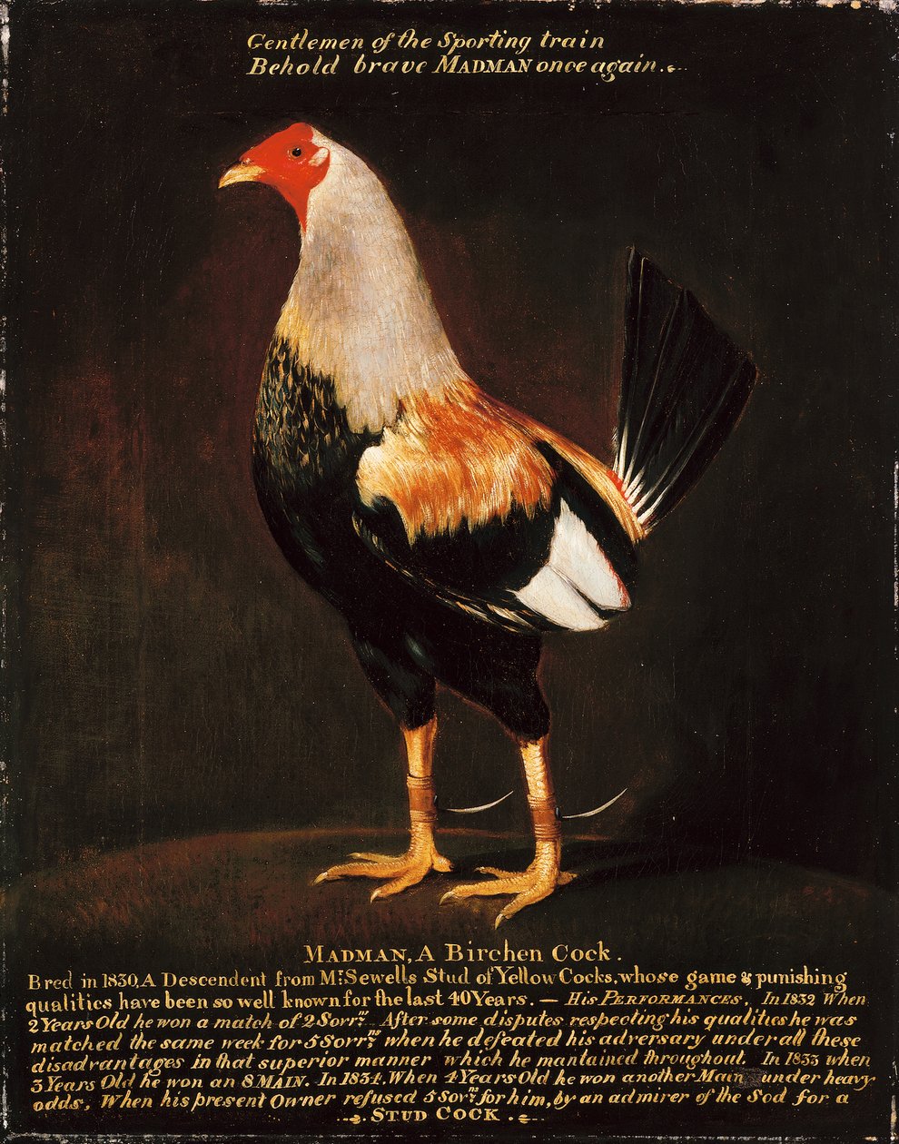 Madman, a Birchen Cock (olja på duk) av Henry Thomas Alken