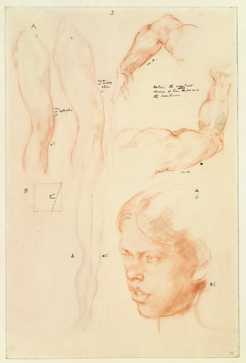 Kommenterad demonstration: Teckningar och en studie av ett flickhuvud (penna och krita på papper) av Henry Tonks