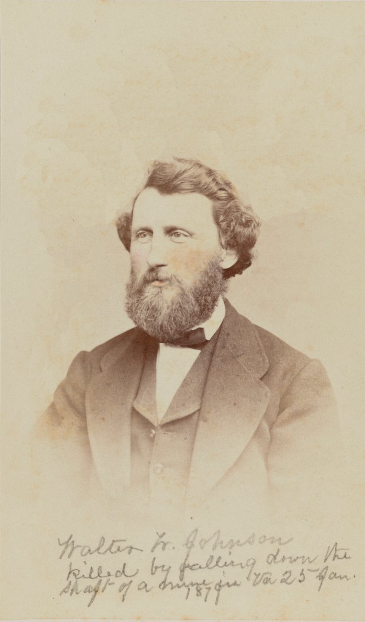 Carte-de-visit-porträtt av Walter W. Johnson, 1868. av Henry Ulke