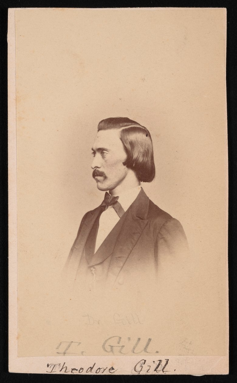 Porträtt av Theodore Nicholas Gill 1837-1914, mellan 1865 och 1870. av Henry Ulke