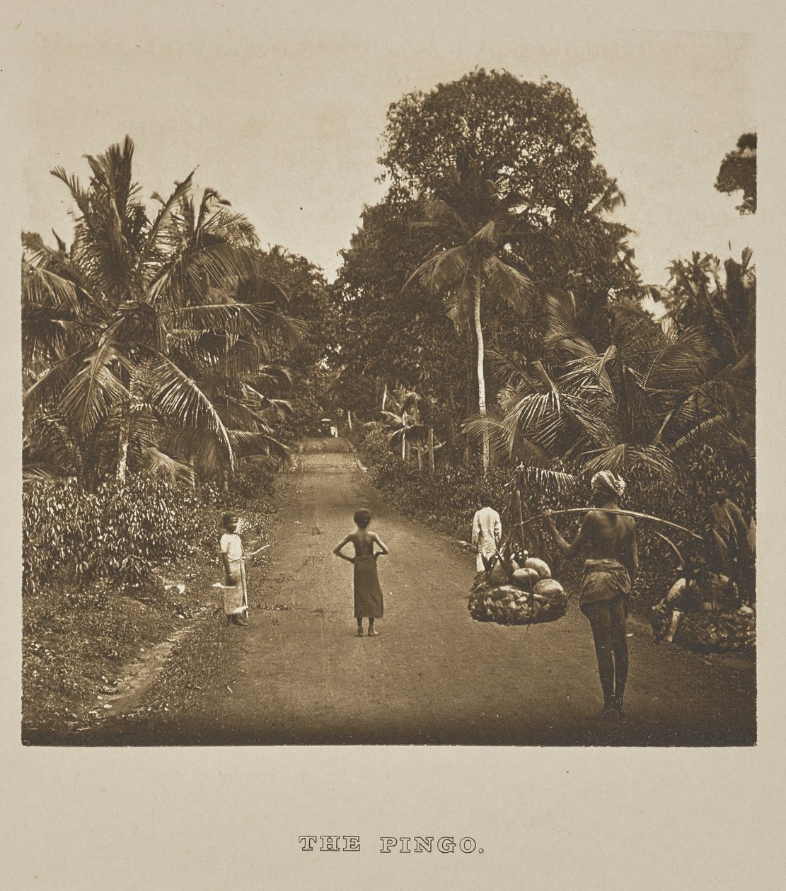 Pingo av Henry W. Cave
