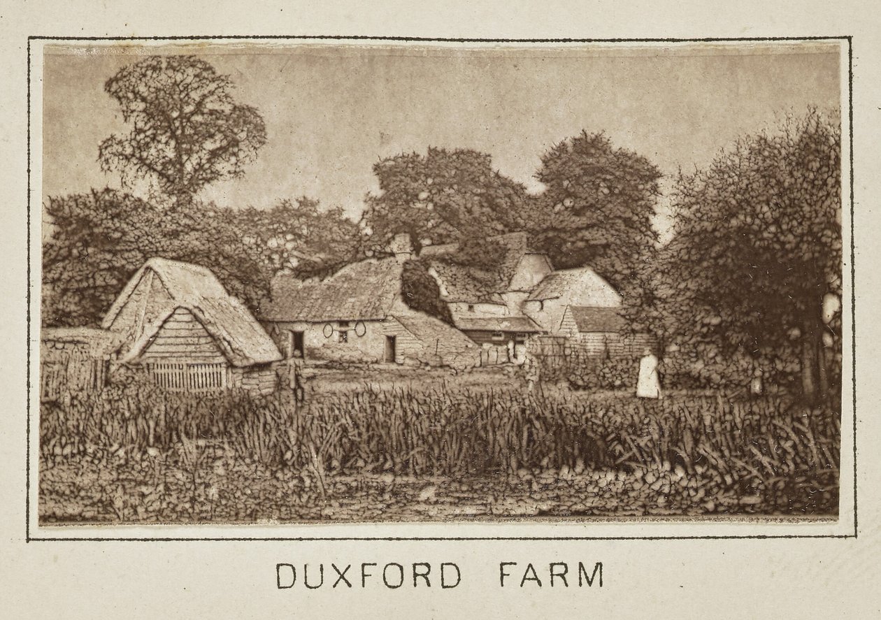 Duxford Farm av Henry W. Taunt