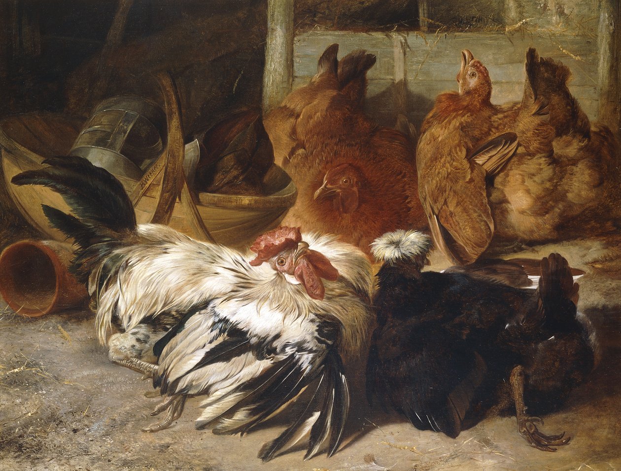 En Silvergrå Rosecomb Cock och en White Crested Black Poland med två buffhöns, av Henry Weekes
