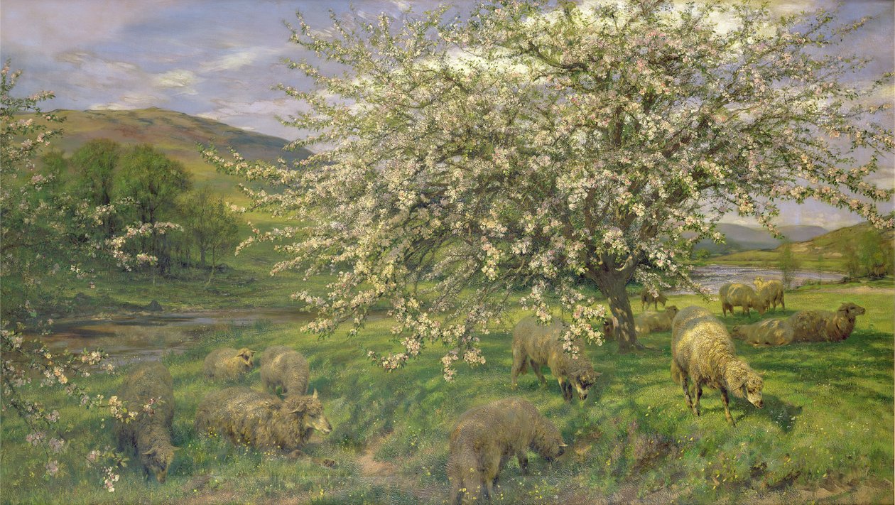 Okänd bild av Henry William Banks Davis