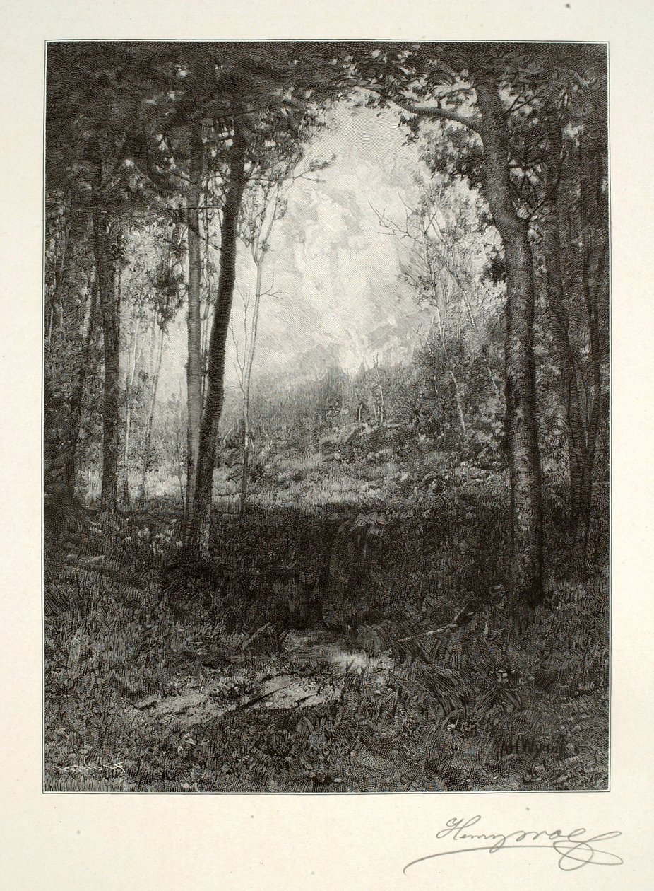 I Adirondacks av Henry Wolf