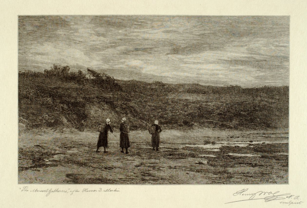 Musselinsamlare av Henry Wolf