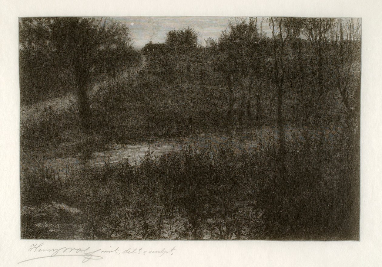 Aftonstjärnan (motivet hittades i Catskills) av Henry Wolf