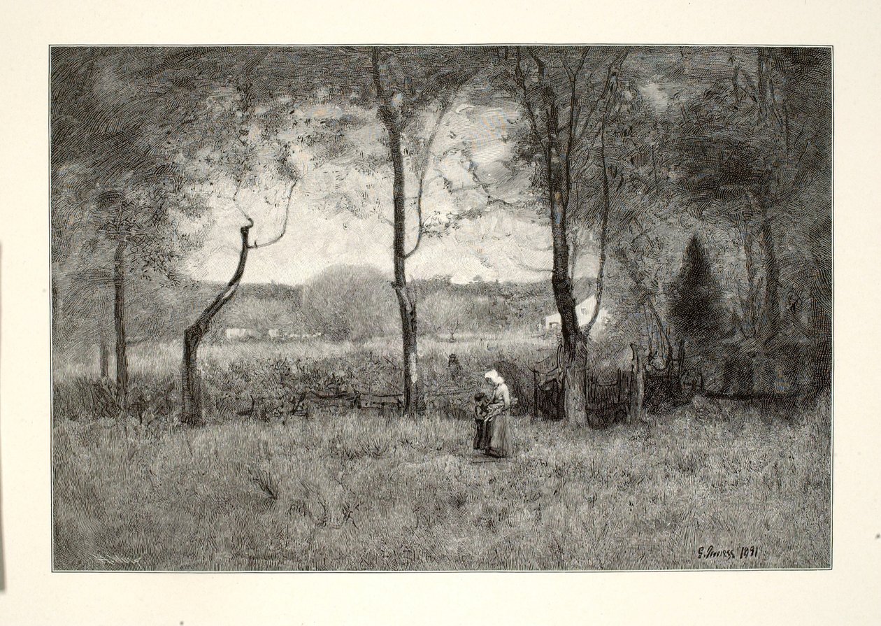 Träsamlare av Henry Wolf