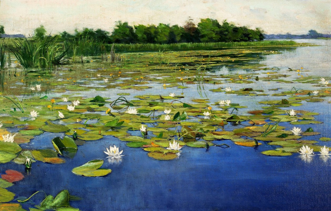 Näckrosor av Henryk Weyssenhoff