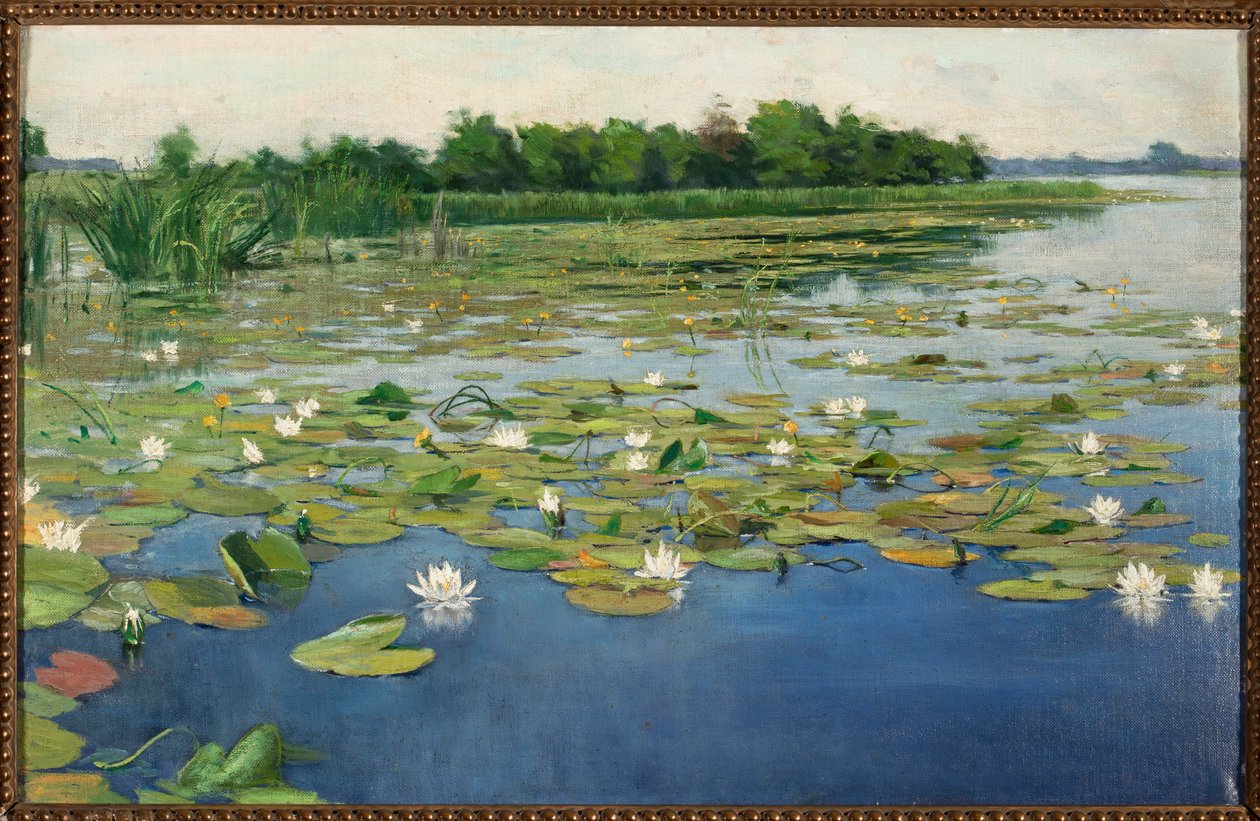 Näckrosor av Henryk Weyssenhoff