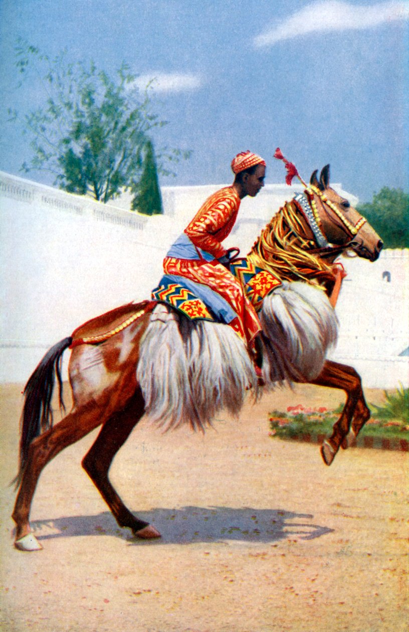 En arabisk dansande häst, Udaipur, Indien, 1922. av Herbert Ponting