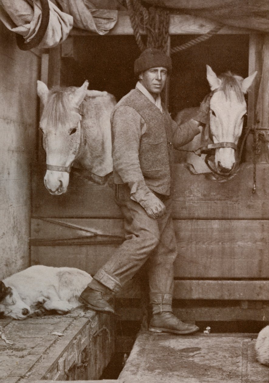 Kapten Oates och ponnyer på Terra Nova, c1910-1912, 1913. av Herbert Ponting