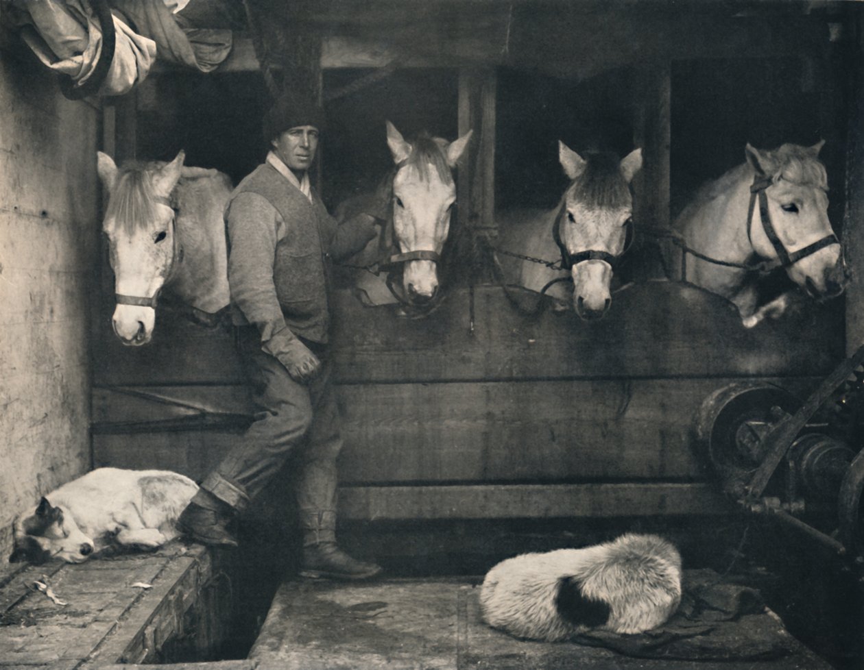 Kapten Oates, på Terra Nova med de sibiriska ponnyerna, c1911, 1914. av Herbert Ponting