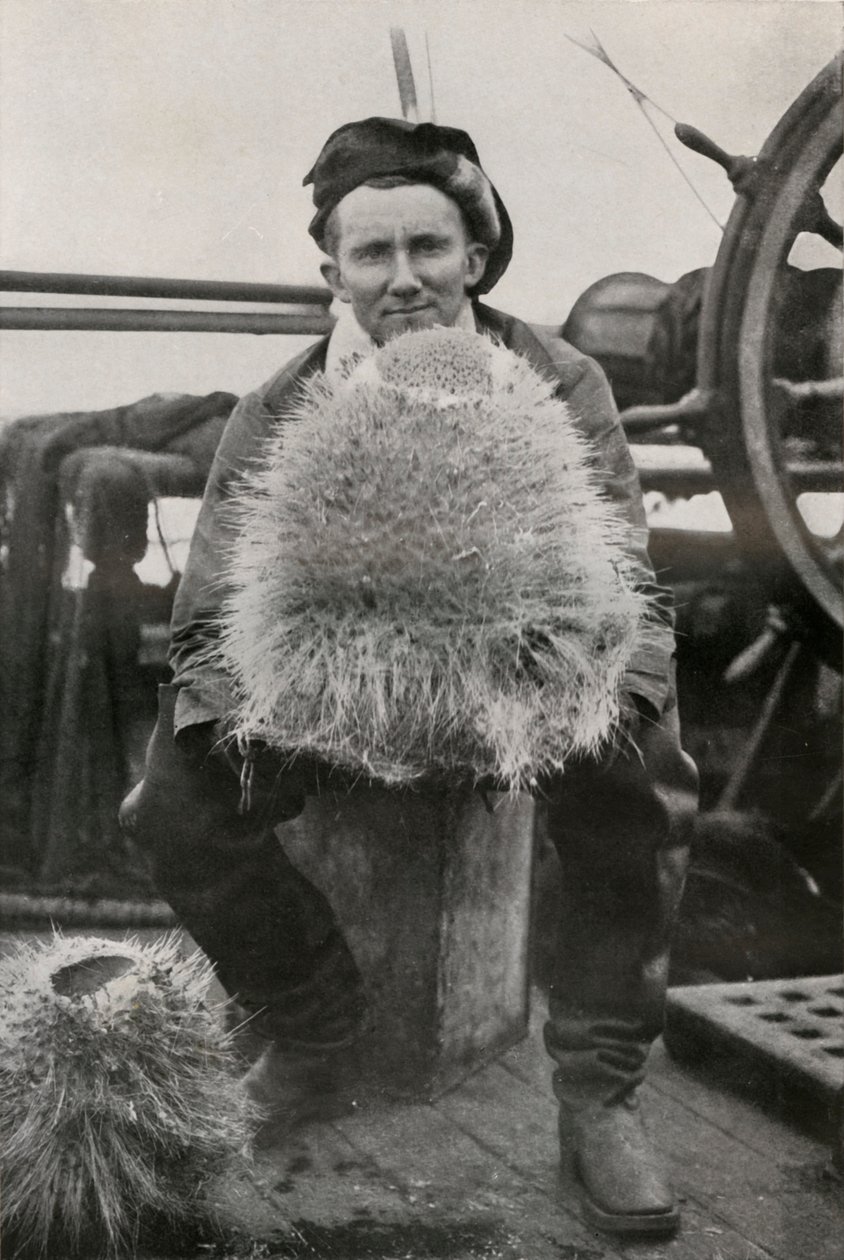 D. G. Lillie, med några av kiselsvamparna, c1911, 1913 av Herbert Ponting
