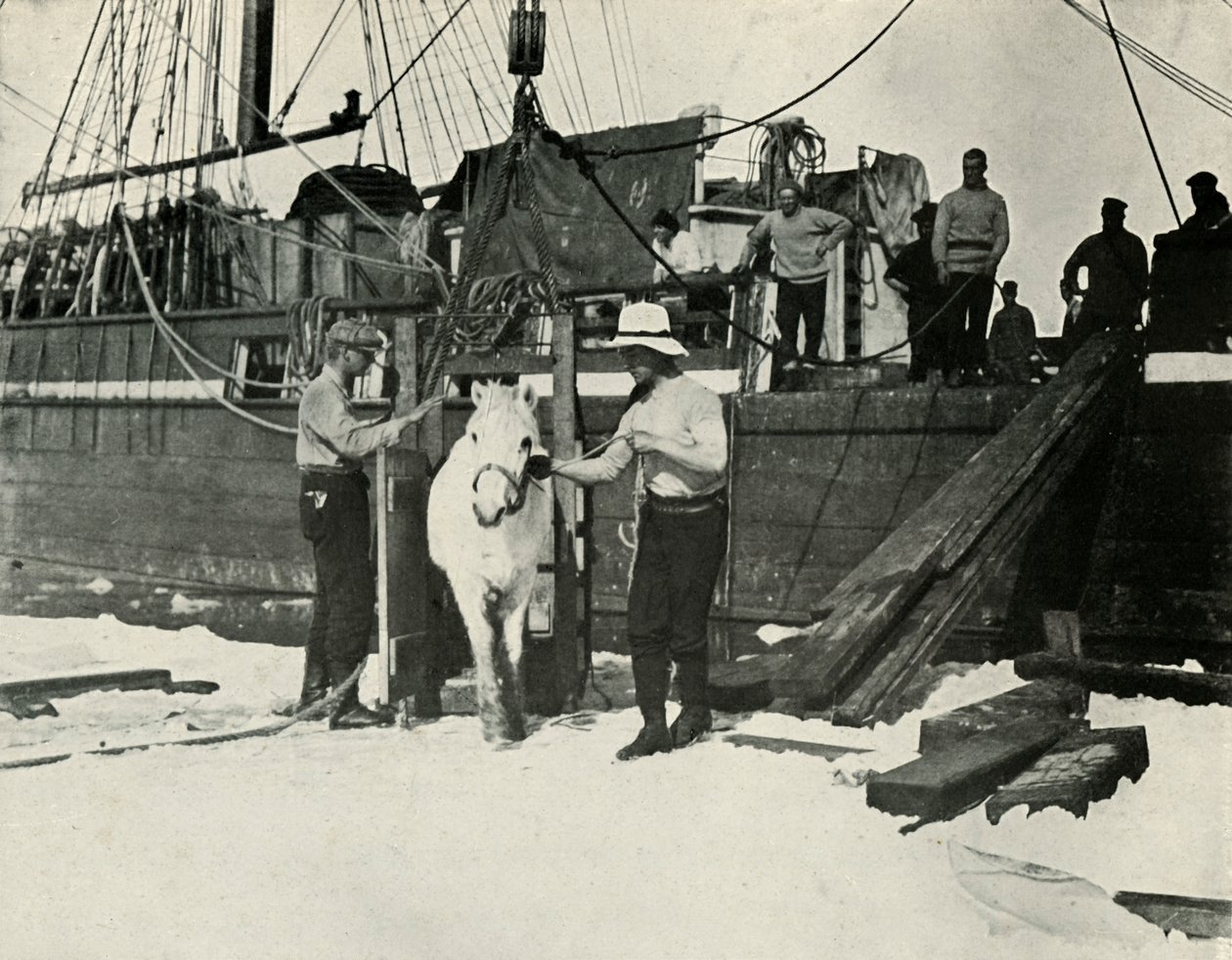 Landstigning av ponnyerna, c19101913, 1913 av Herbert Ponting