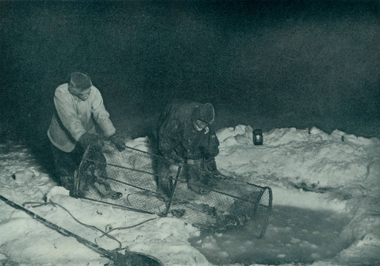 Dr. Atkinson och Clissold Hauling Up The Fish-Trap, 28 maj 1911, 1913 av Herbert Ponting