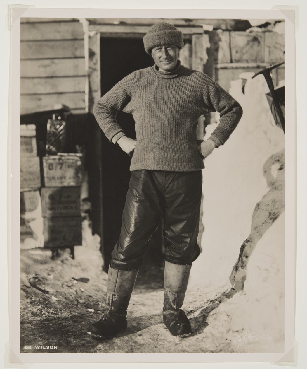 Dr. Wilson från 