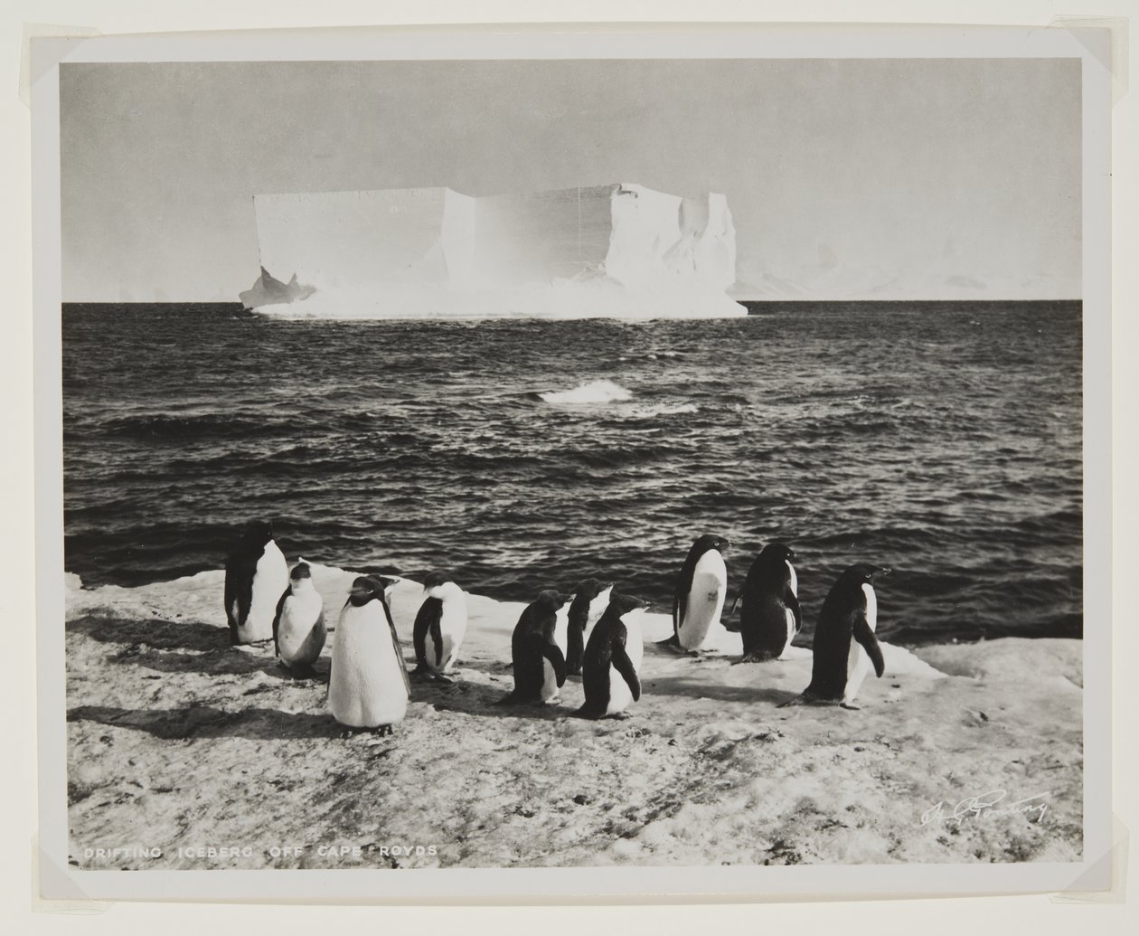 Drifting Iceberg utanför Cape Royds (bromidtryck) av Herbert Ponting