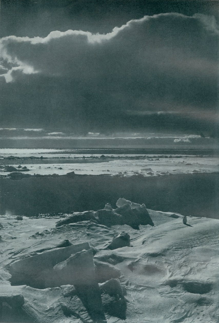 Aftonscen i flocken, c19101913, 1913 av Herbert Ponting