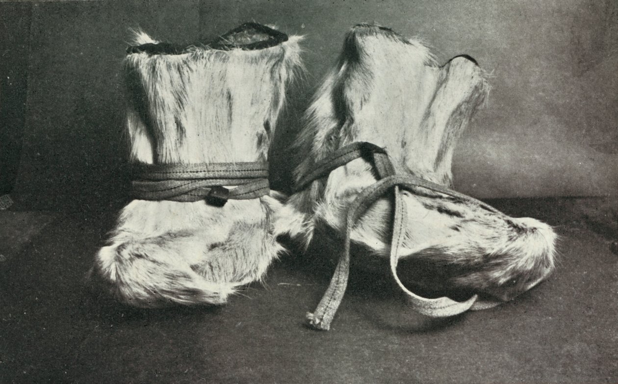 Finnesko, c19101913, 1913. av Herbert Ponting