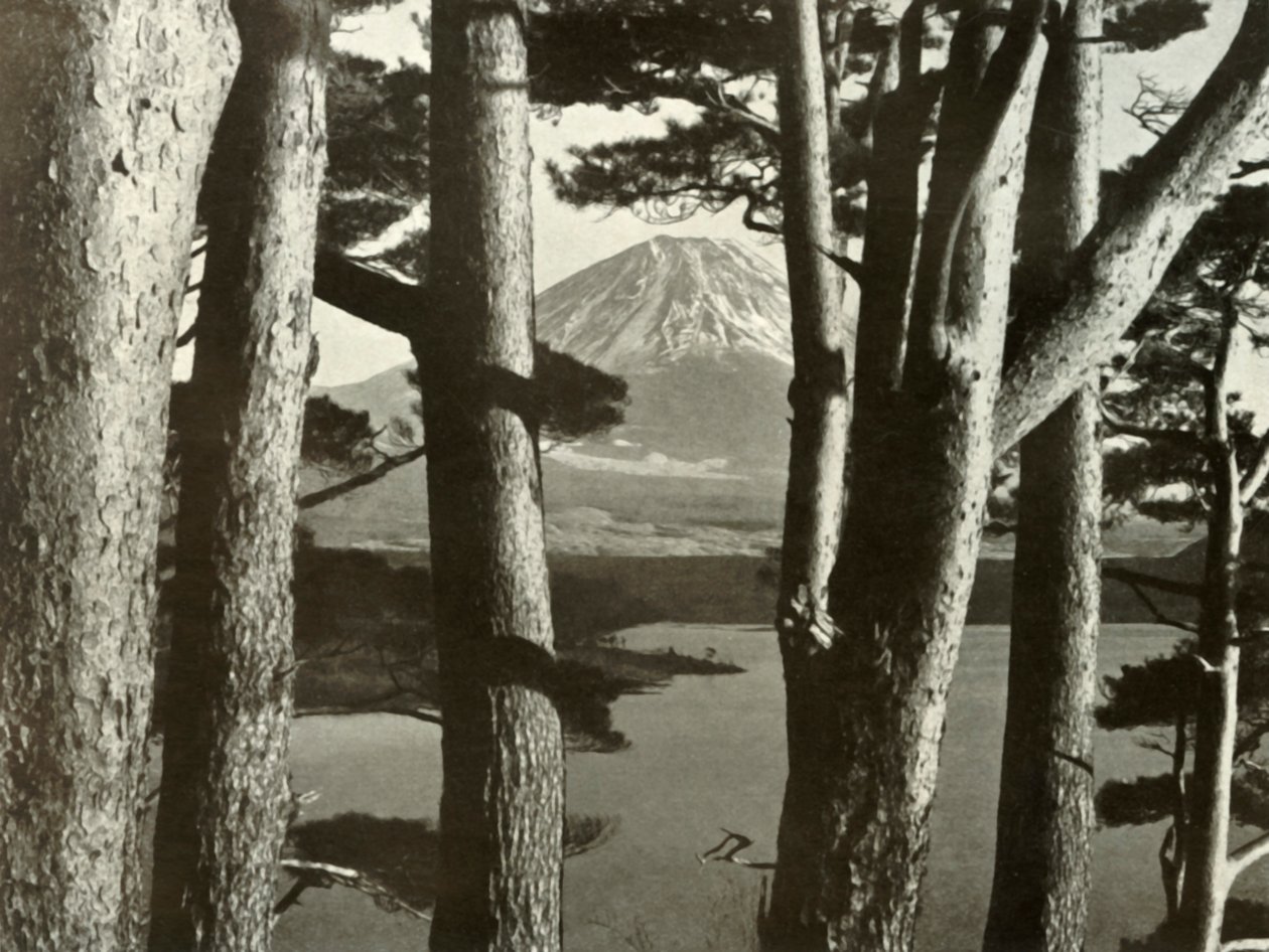 Fuji och tallarna, 1910. av Herbert Ponting