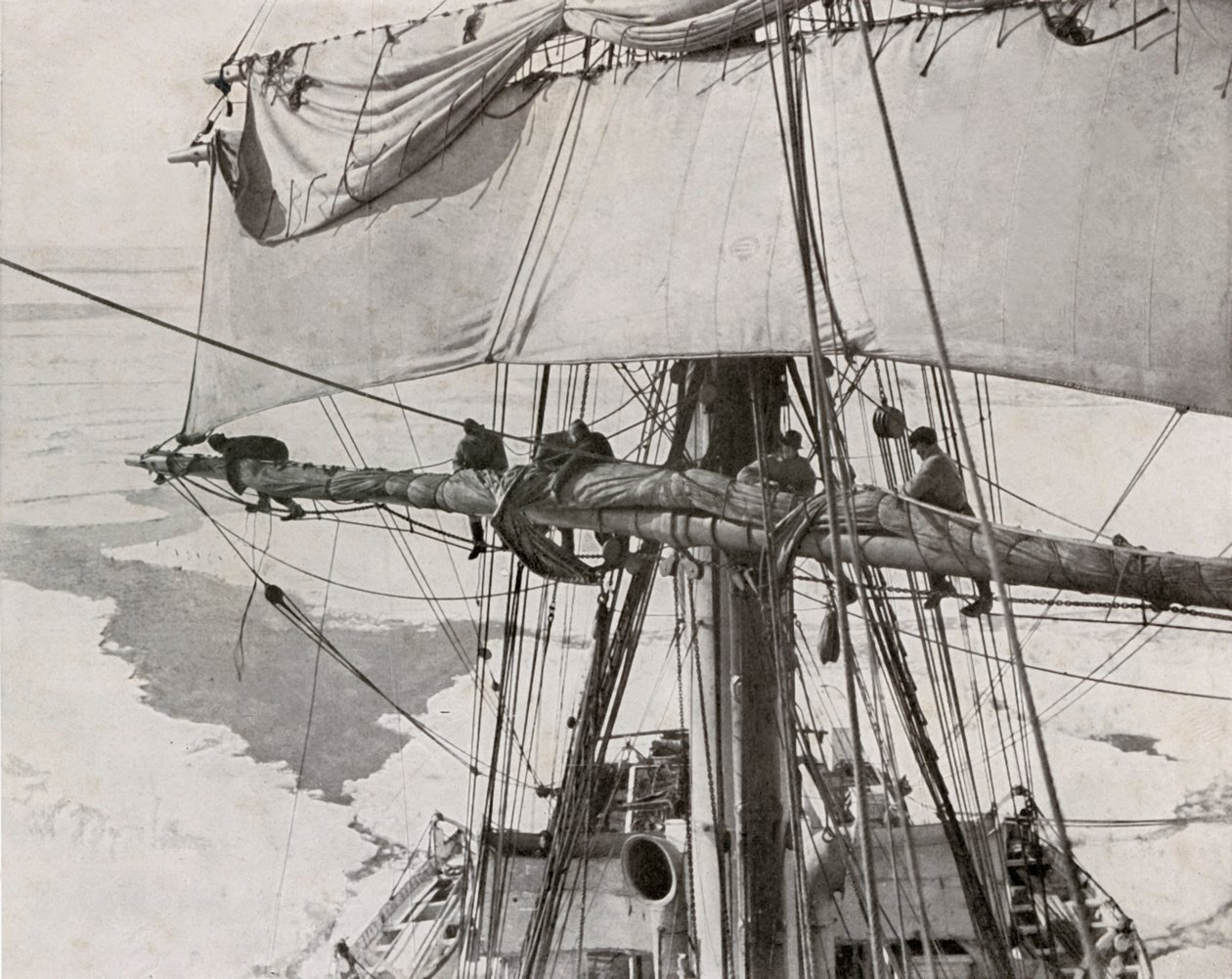Rullsegel i flocken, c19101913, 1913 av Herbert Ponting