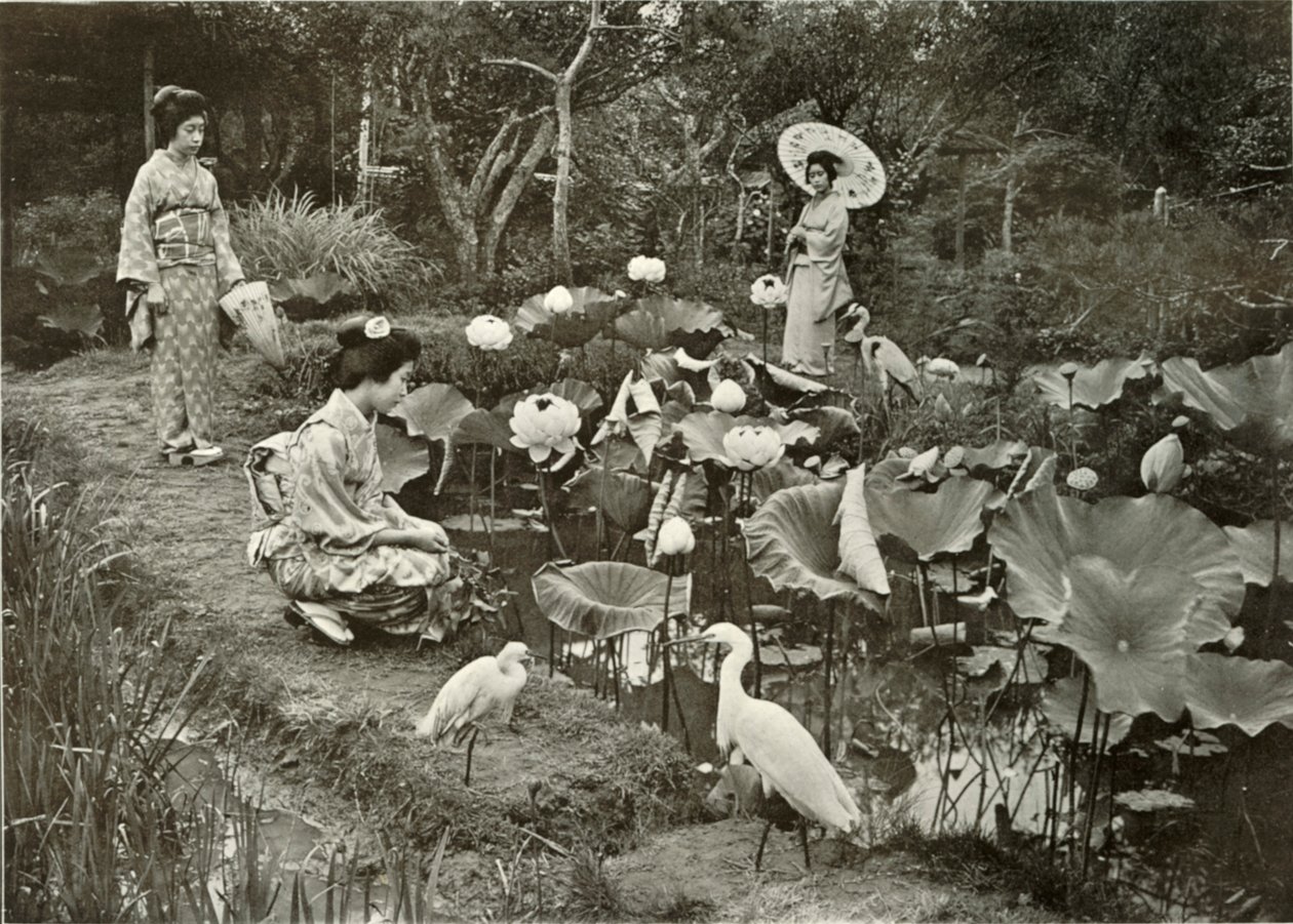 I Lotus-Land, 1910. av Herbert Ponting