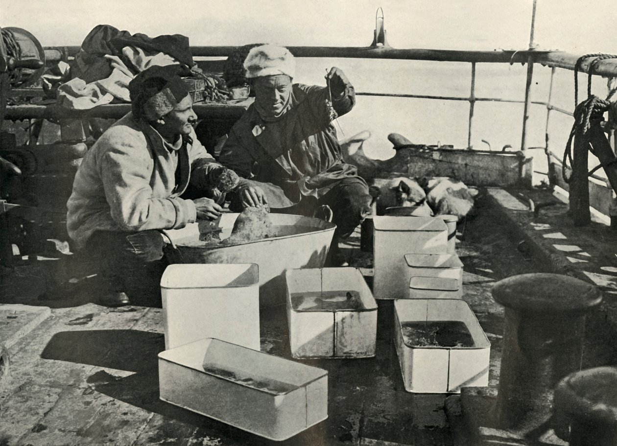 Lillie och Dr Levick sorterar en trålfångst, c19101913, 1913 av Herbert Ponting