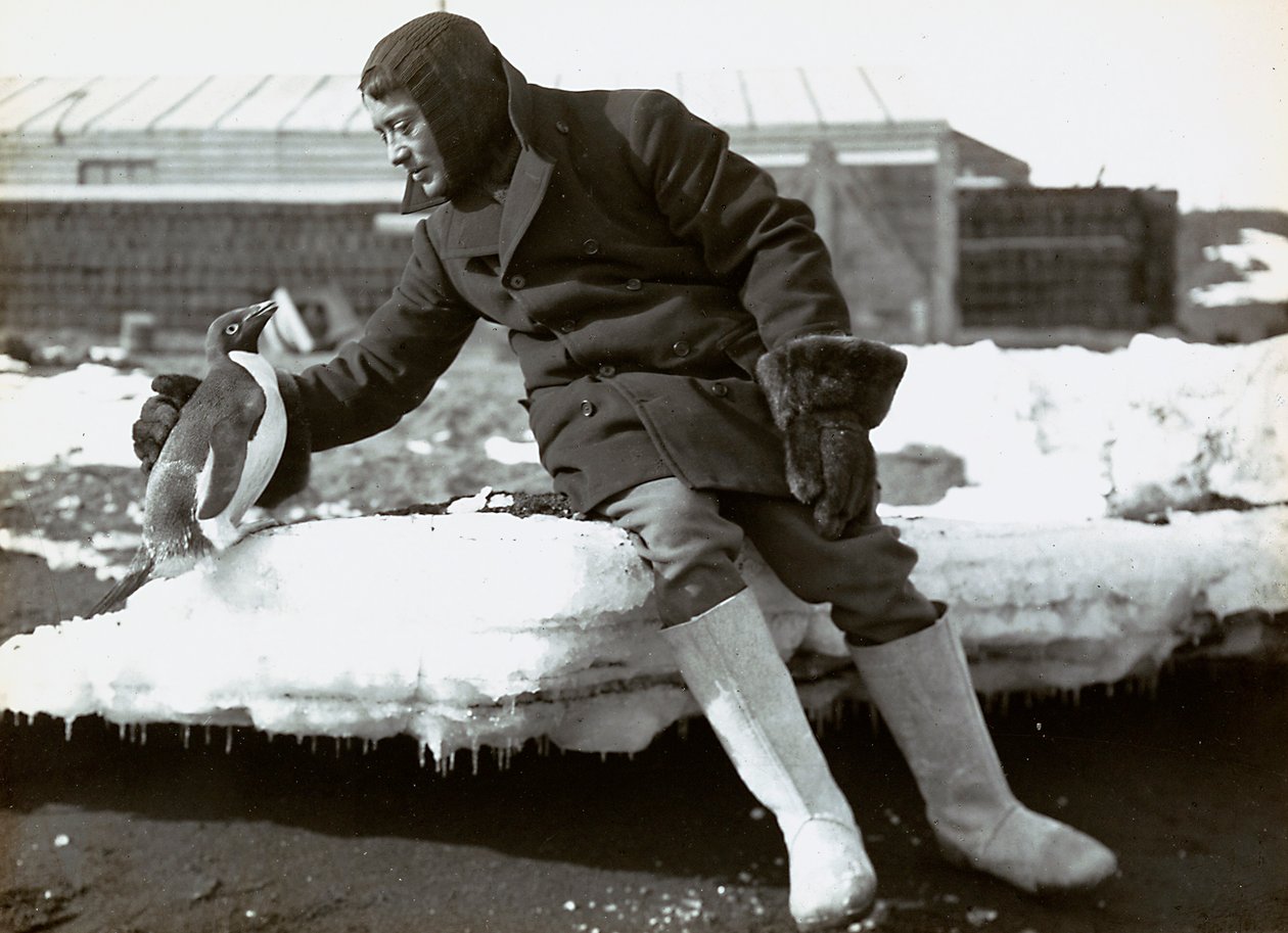 Man med en pingvin under den engelska expeditionen till Antarktis av Herbert Ponting