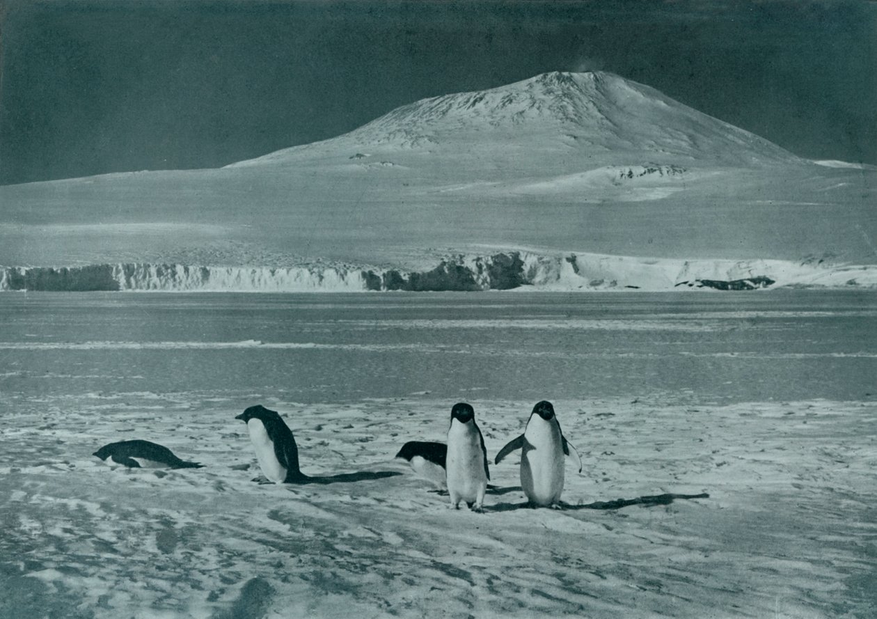 Mount Erebus, c1911, 1913 av Herbert Ponting