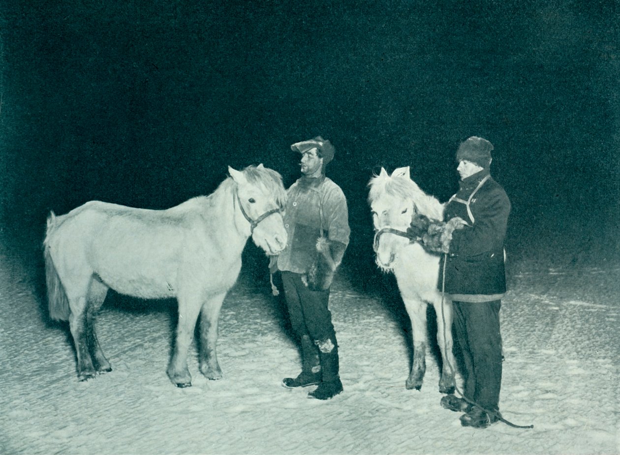 Underofficerarna Crean och Evans tränar sina ponnyer på vintern, 1911, 1913 av Herbert Ponting