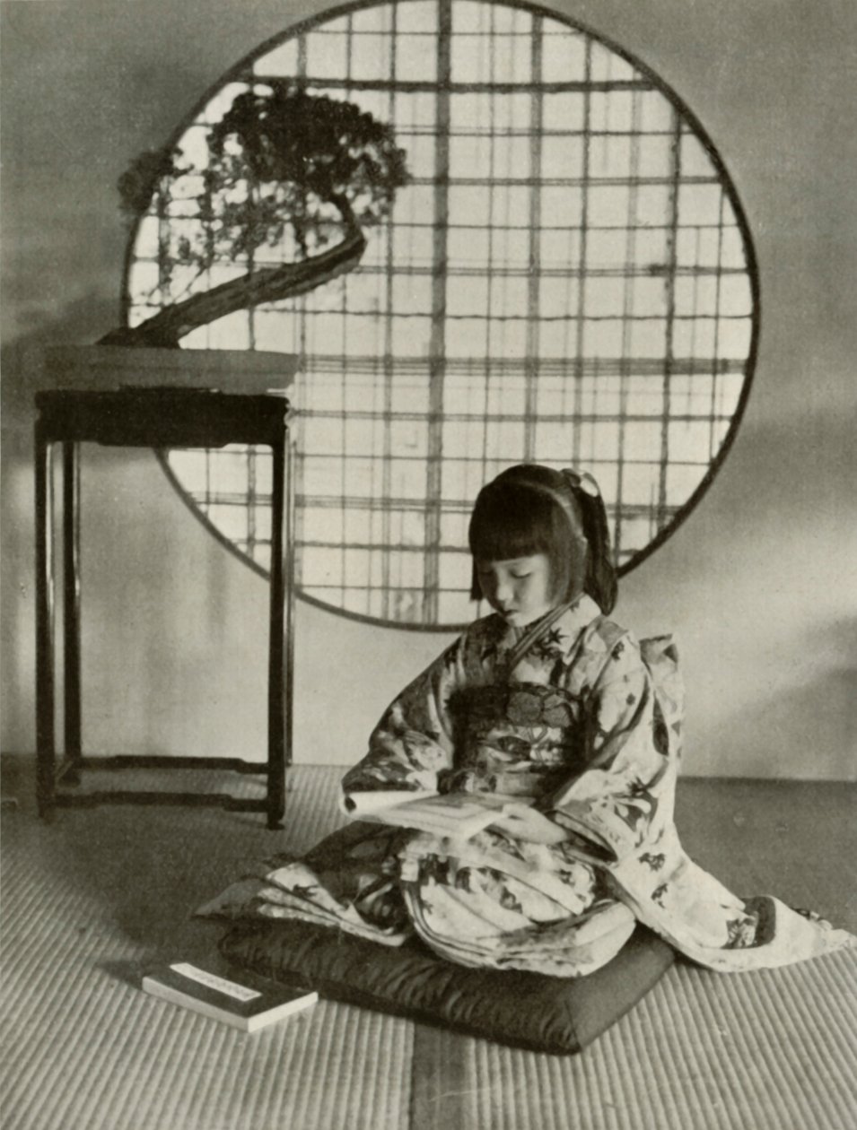 Bilderboken, 1910. av Herbert Ponting
