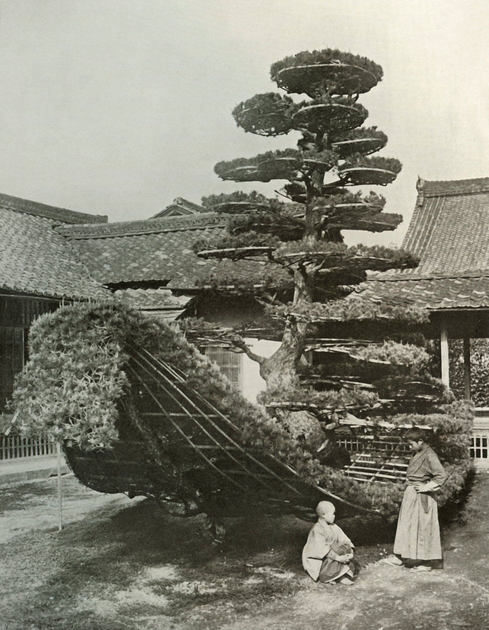 Pine-Tree Junk vid Kinkakuji, 1910. av Herbert Ponting