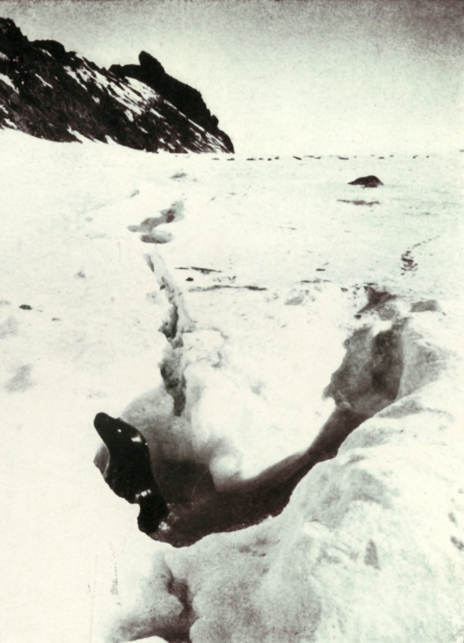 Tidvattnet på Razorback Island, 1911, 1913 av Herbert Ponting