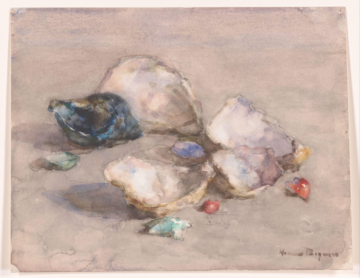 Skal på stranden av Herman Bogman (signed by artist)