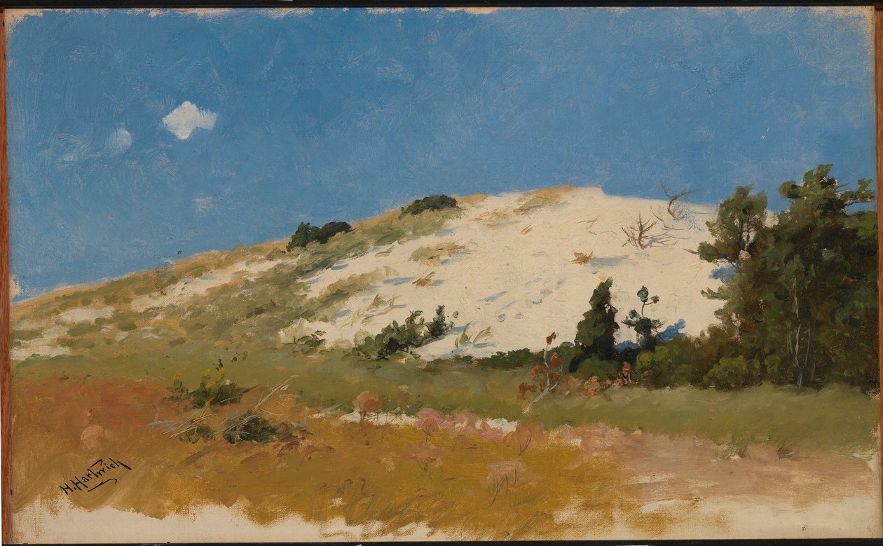 Cape Cod, Sanddyn av Herman Hartwich